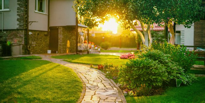 lawn care, green lawn at sunset, dallas tx